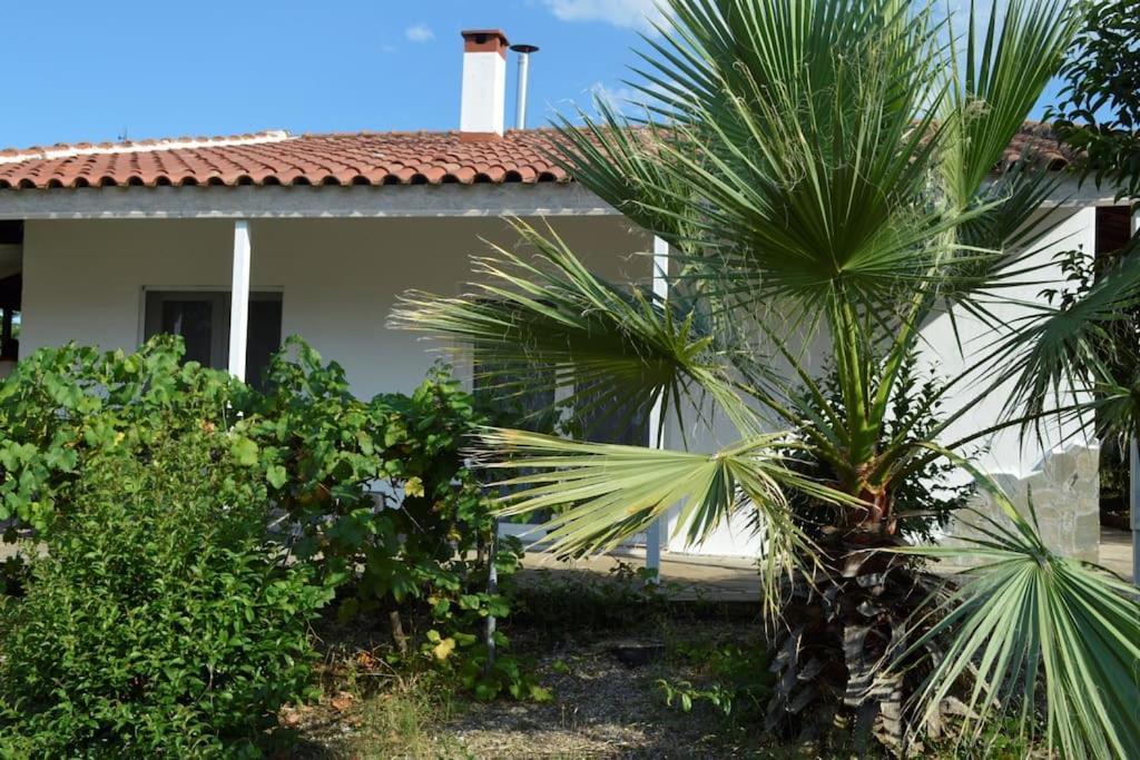 Litochoro Apartment In Estate A1 Exterior foto